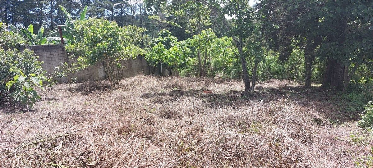 Terreno en venta ubicado en Condominio Vistas de Versalles