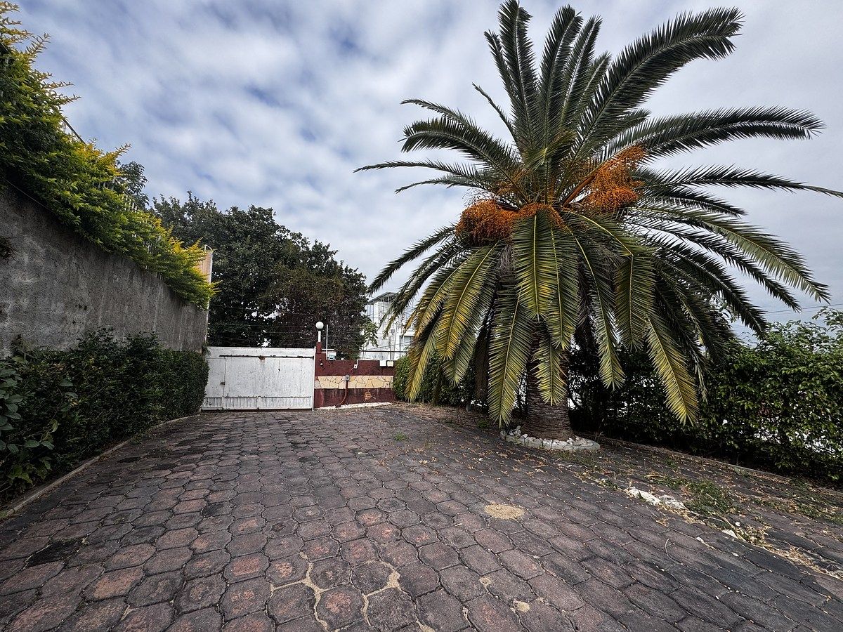 2 de 39: Arroyo vehicular dentro de la propiedad