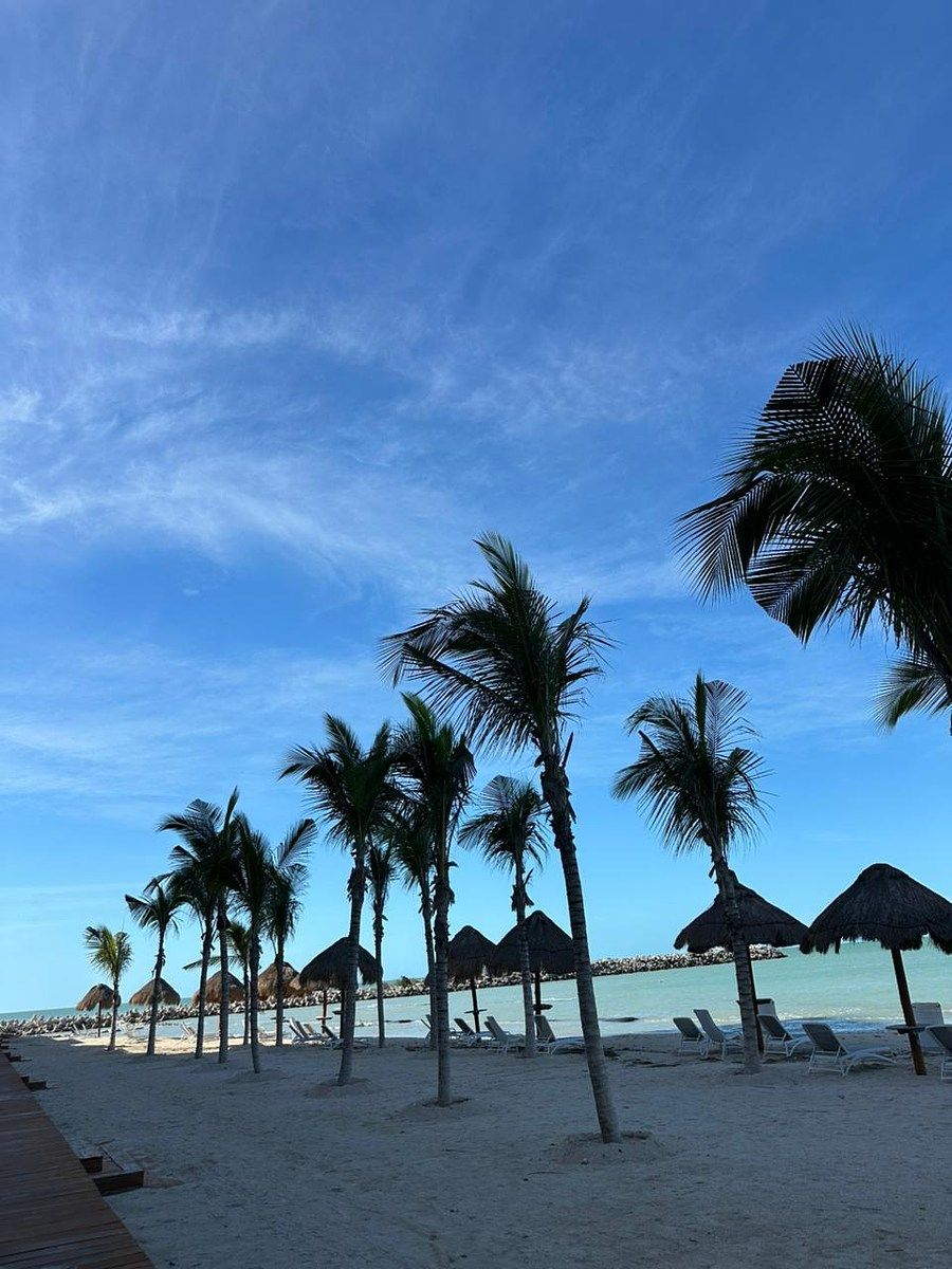 19 de 19: Beach club