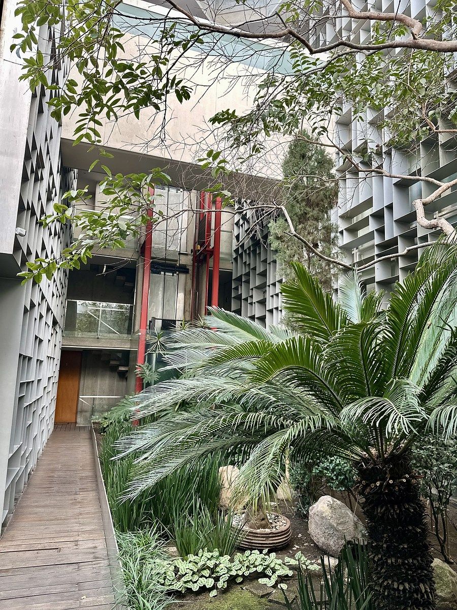 15 de 16: JARDIN AREA COMUN