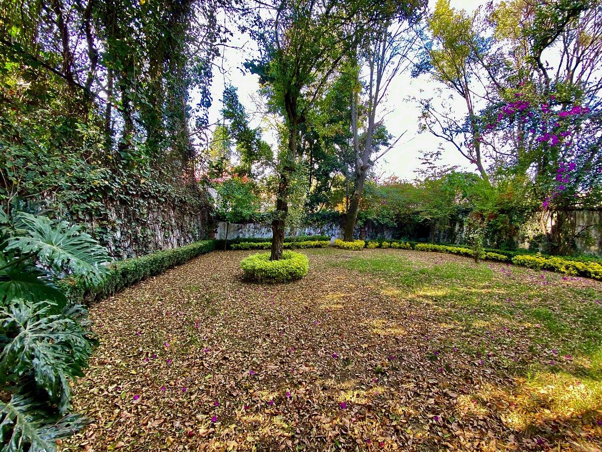 30 de 32: Amplísimo jardín