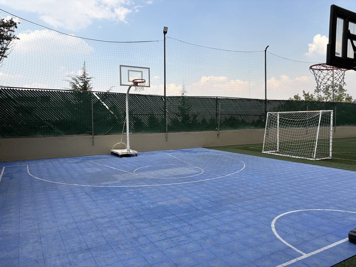 27 de 36: Basketball