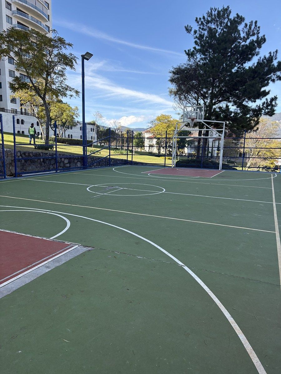 22 de 42: Basketball