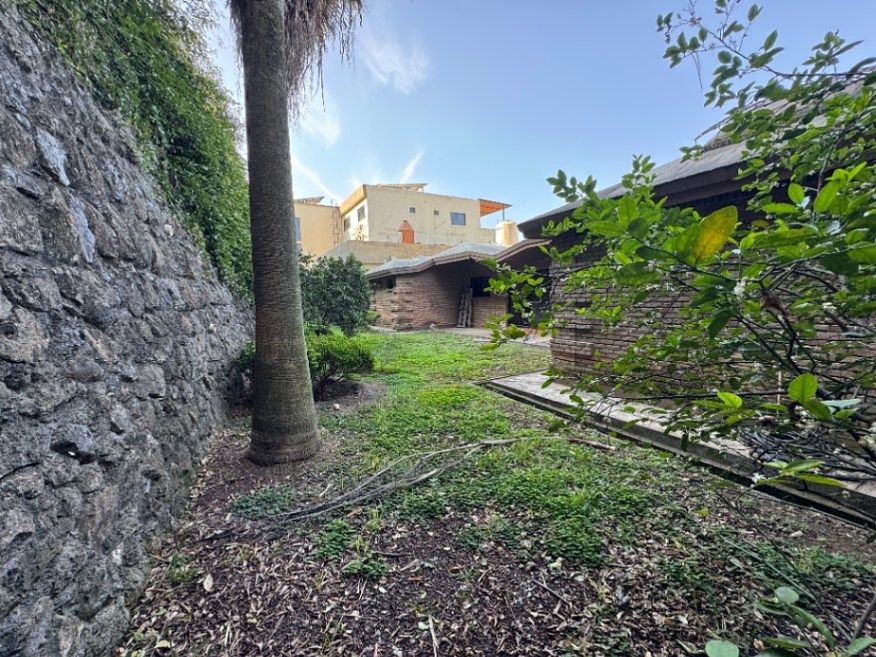 4 de 5: Jardin exterior