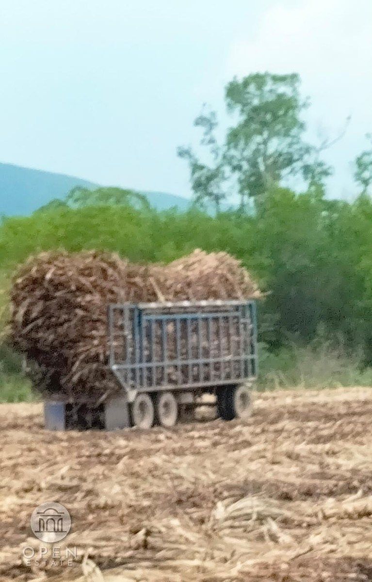 Rancho en Tamuin Centro, Tamuín, foto 43 de 50