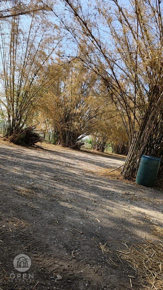 Rancho en Tamuin Centro, Tamuín, foto 44 de 50