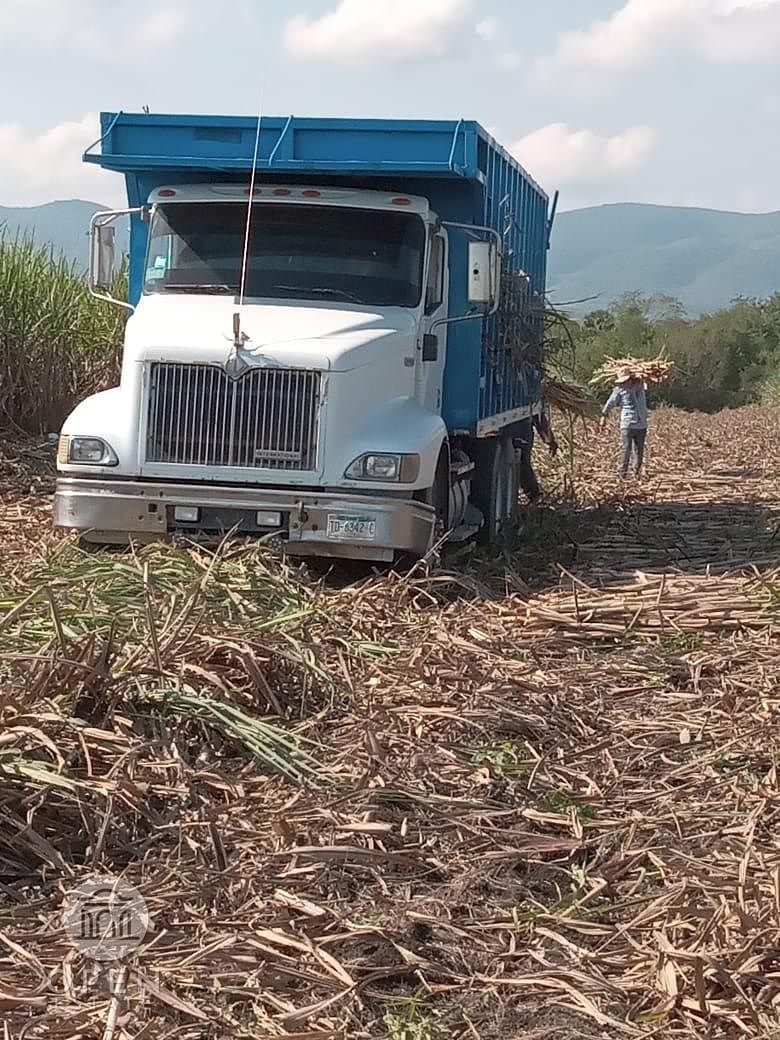 Rancho en Tamuin Centro, Tamuín, foto 47 de 50