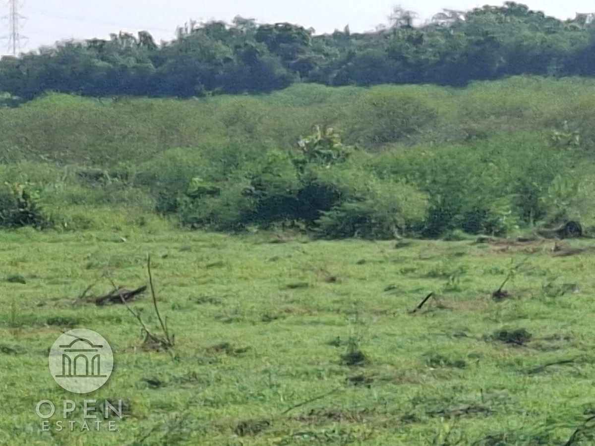 Rancho en Tamuin Centro, Tamuín, foto 48 de 50
