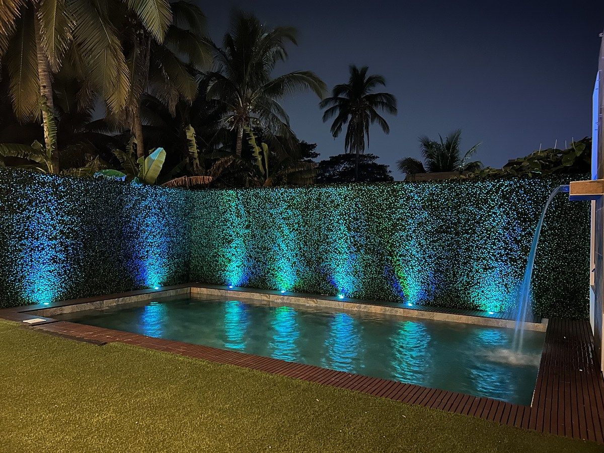 2 of 22: Alberca con cascada