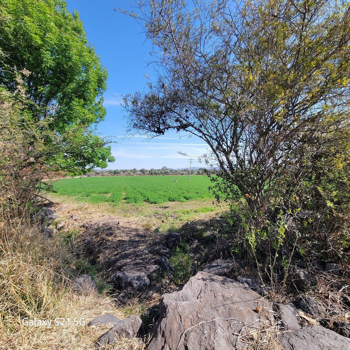 8 de 17: CANALES LATERALES PARA RIEGO