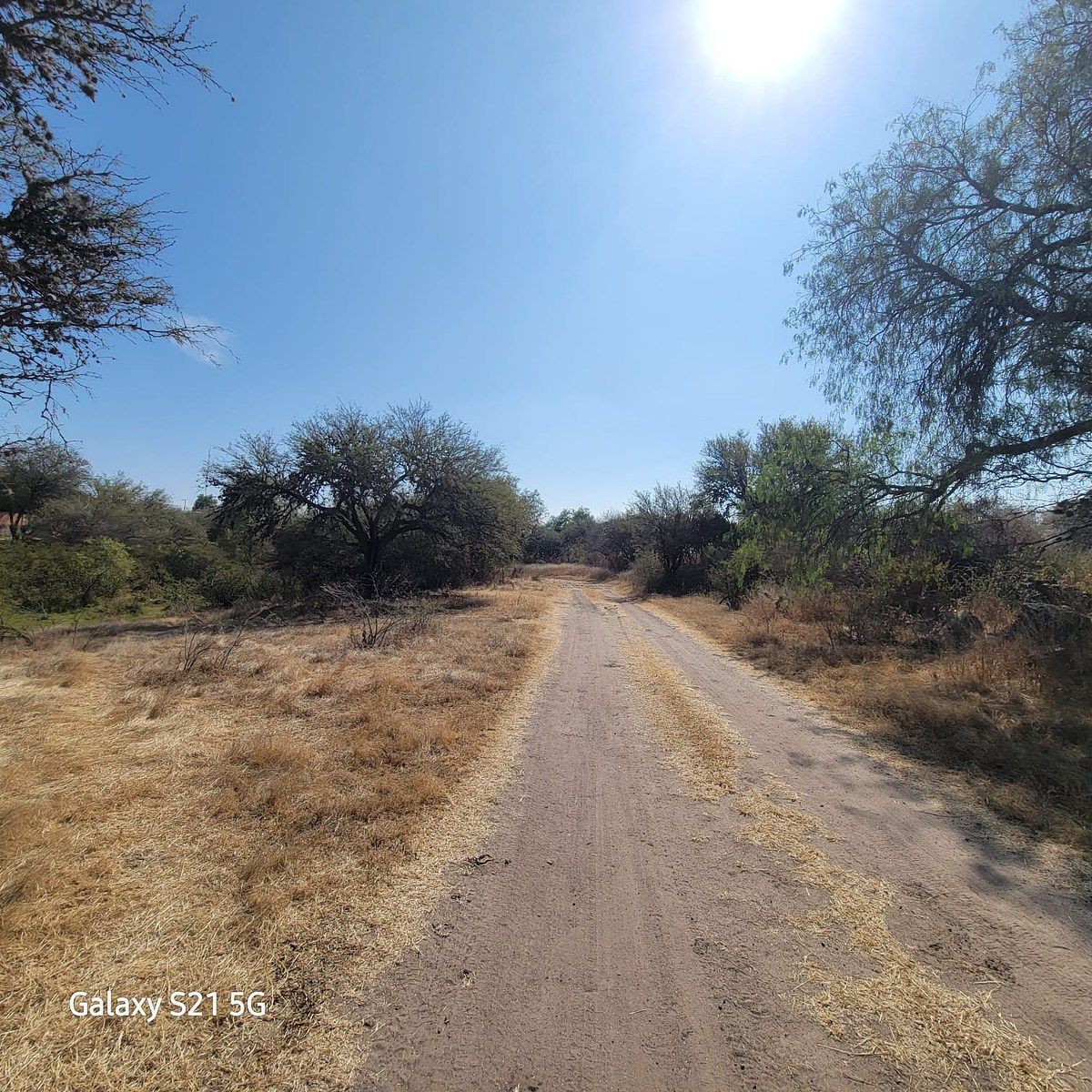 14 de 17: CAMINOS INTERNOS EN EL RANCHO