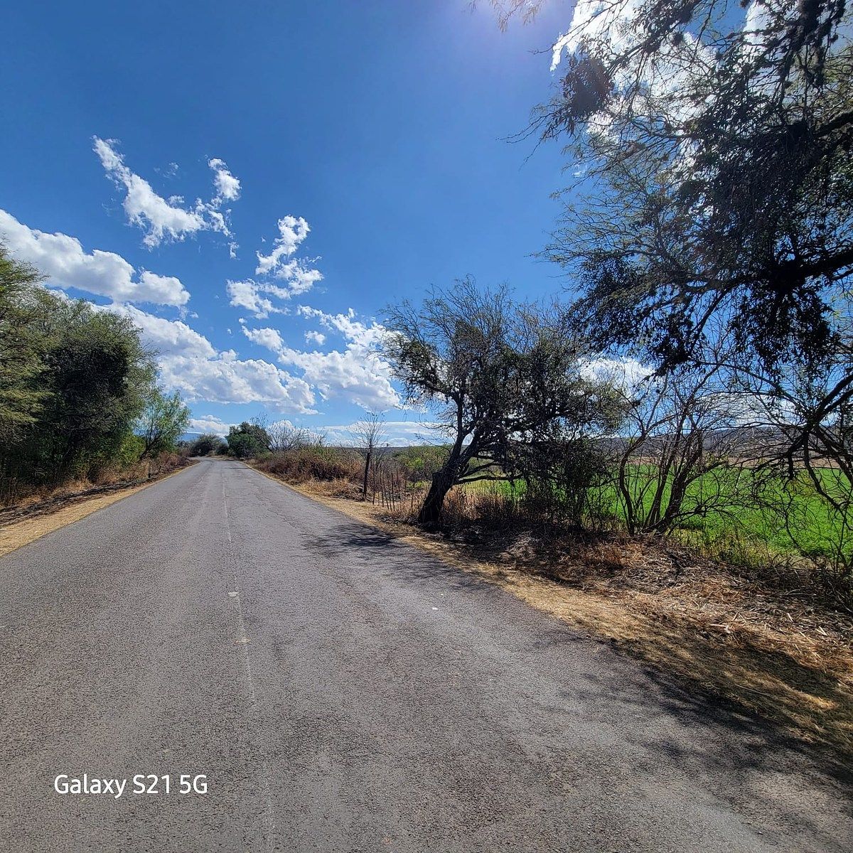 2 de 17: 1000 METROS DE CAMINO CARRETERO COLINDANDO CON EL RANCHO