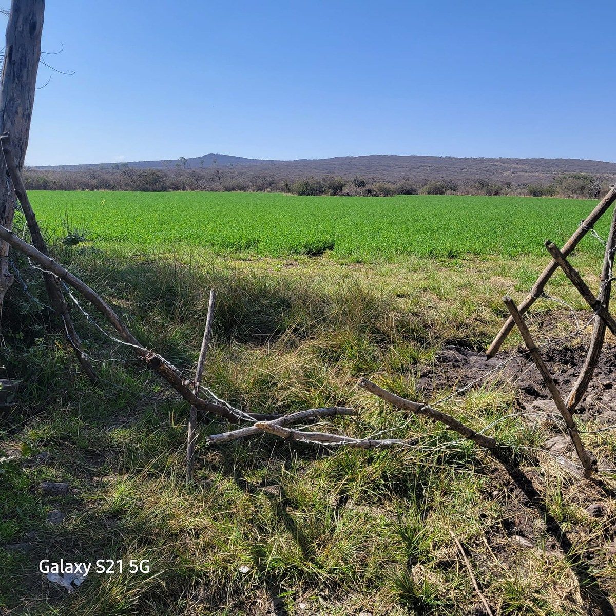 13 de 17: OTRA ENTRADA