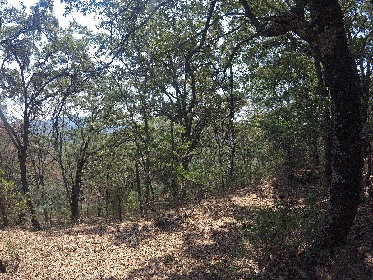 3 de 6: Terrenos vecinos