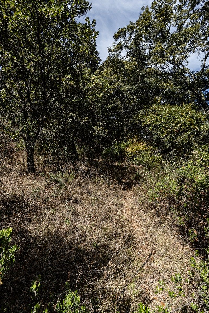 12 de 13: Detalles al interior del  terreno.