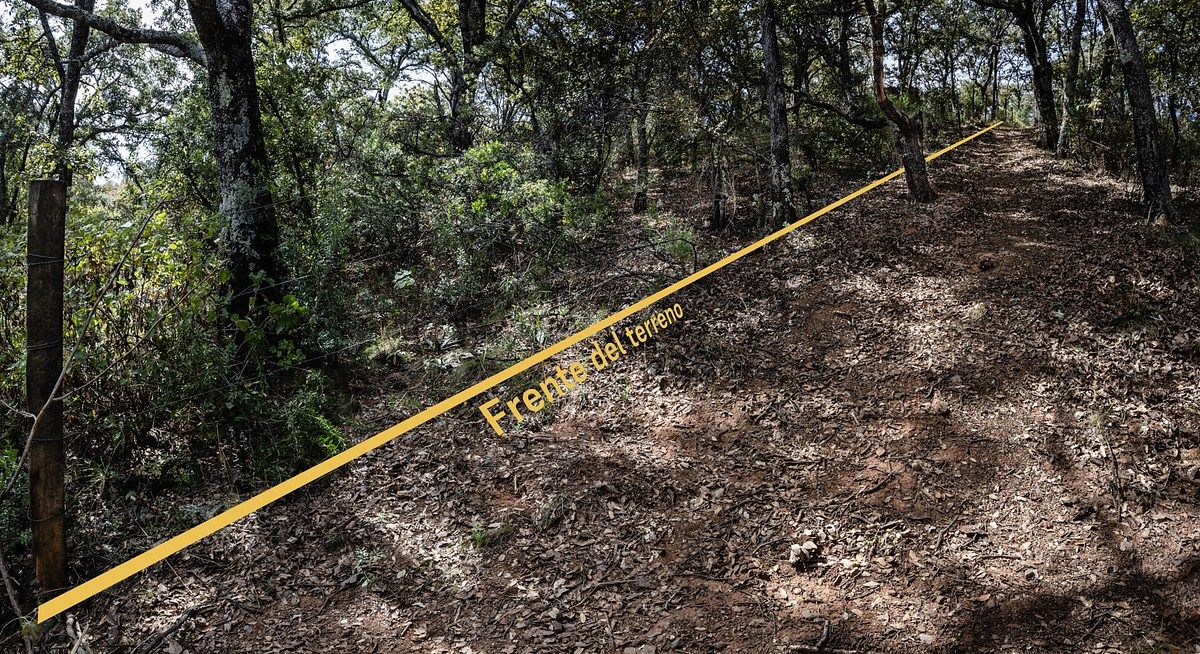 10 de 13: Frente del terreno desde su esquina baja.