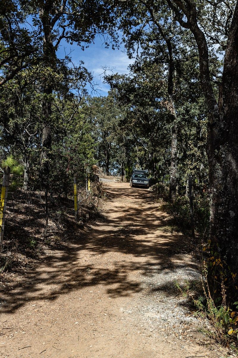 7 de 13: Calle de acceso 1.