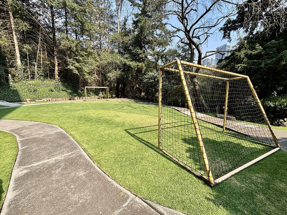 37 of 42: jardín común