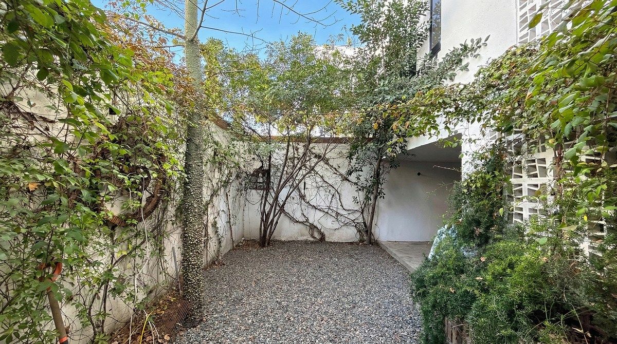 25 de 32: PATIO CON VEGETACIÓN