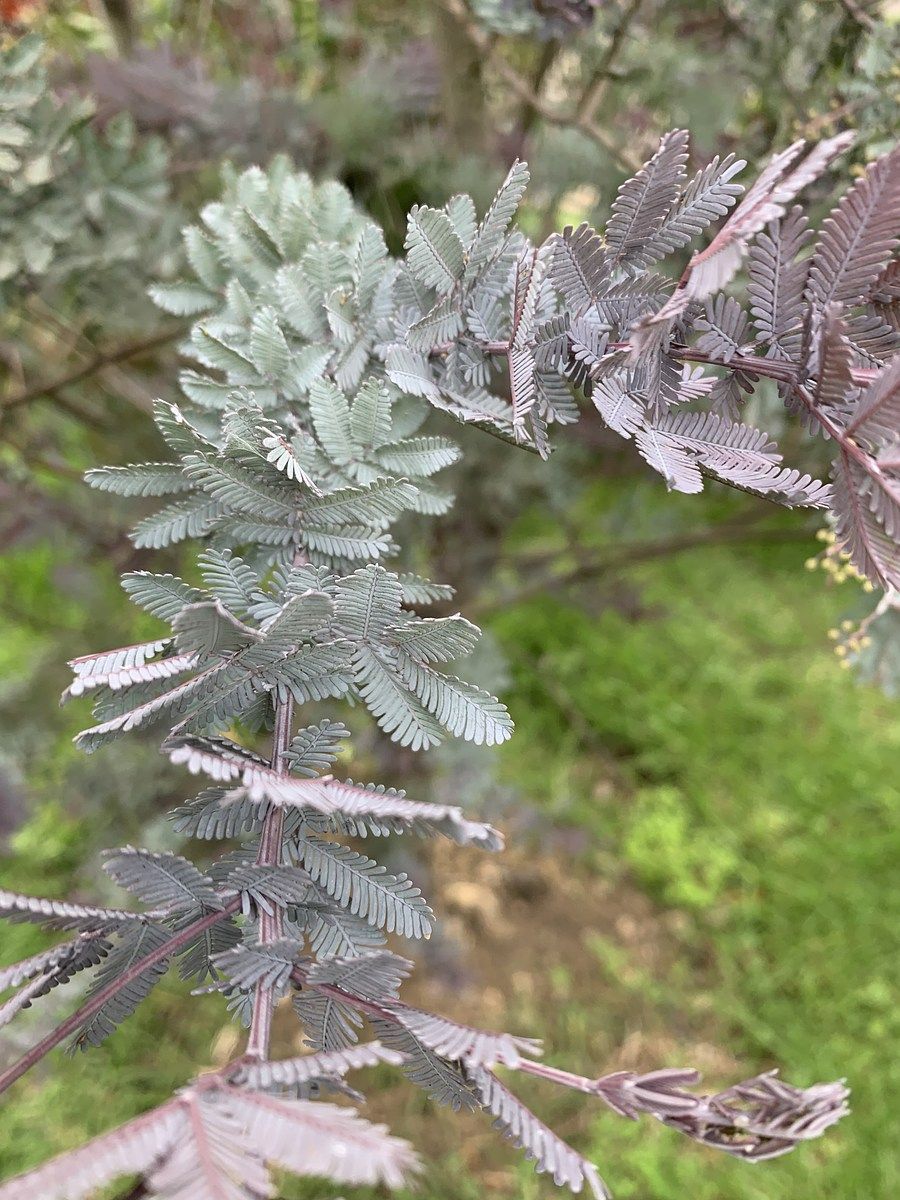 1 de 1: Pídeme fotografías