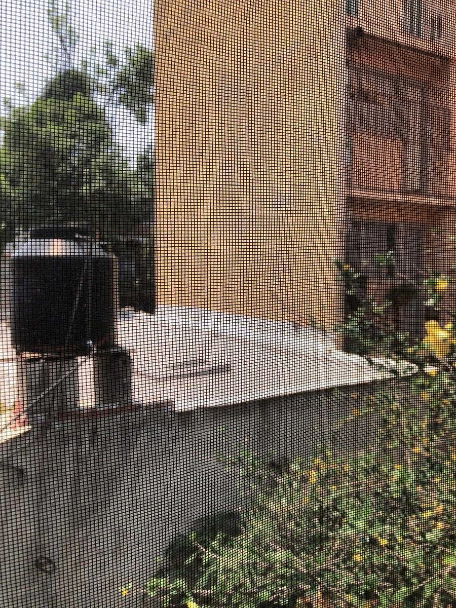 Terreno en Santa María Nonoalco, Benito Juárez, foto 10 de 18