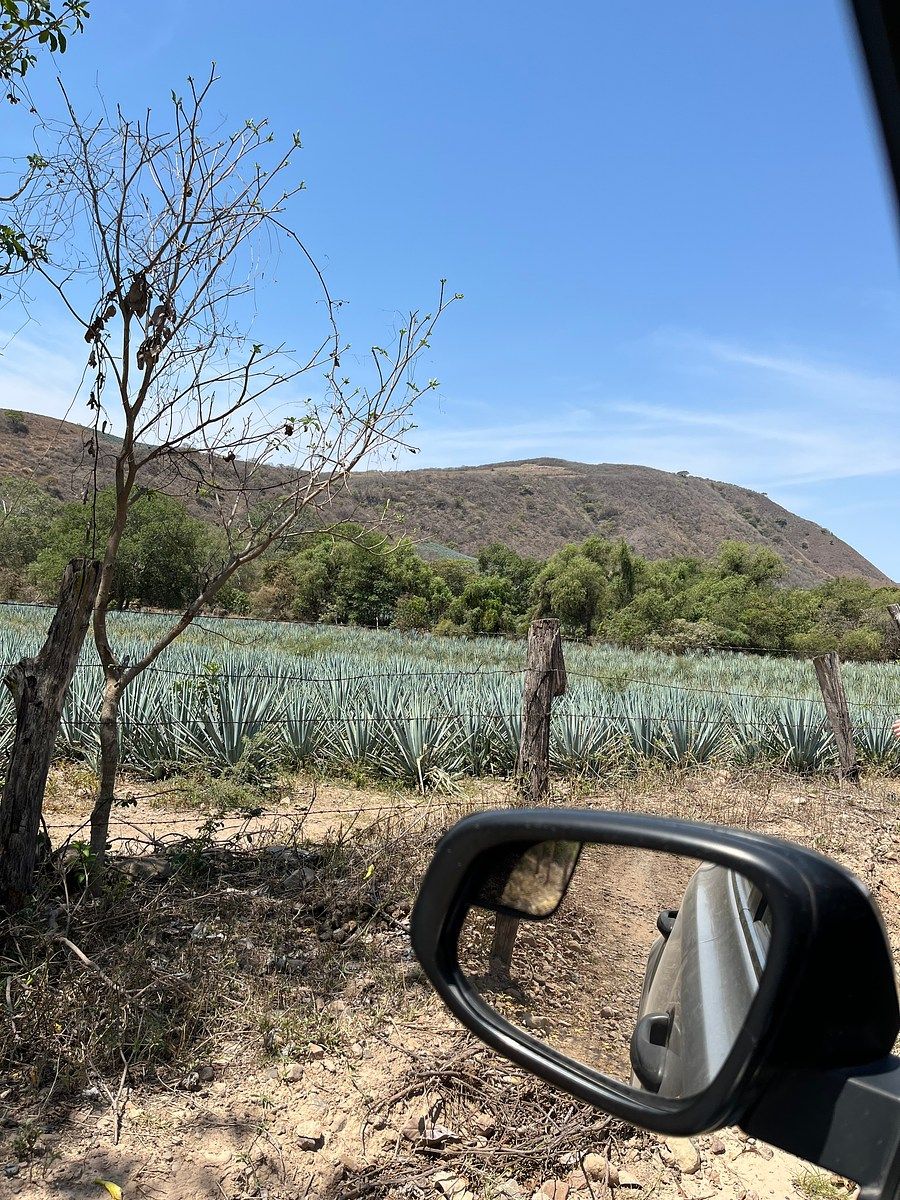 Lote em San Marcos, San Marcos, foto 5 de 6