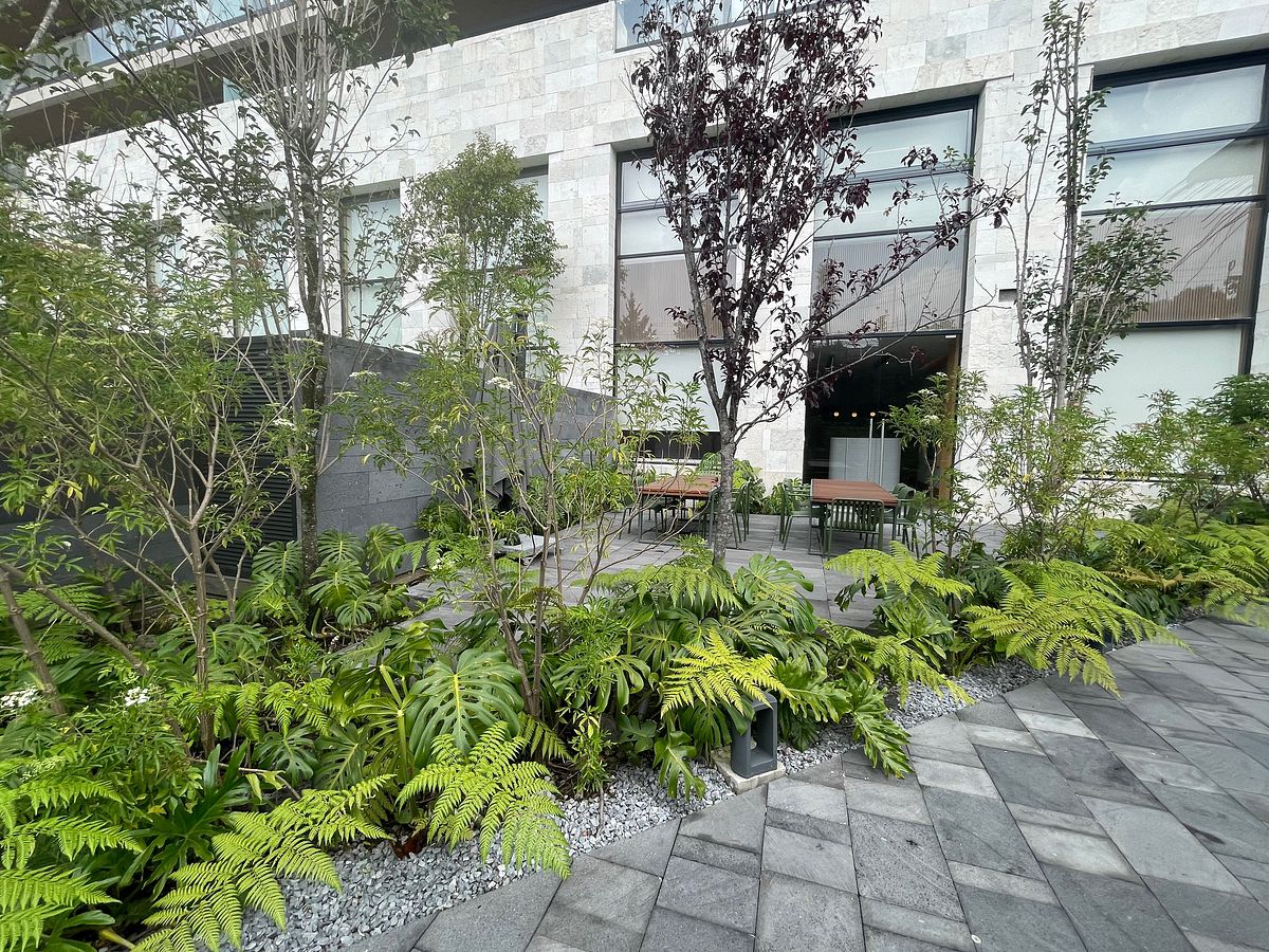 Apartment in Contadero, Cuajimalpa de Morelos, photo 18 of 21