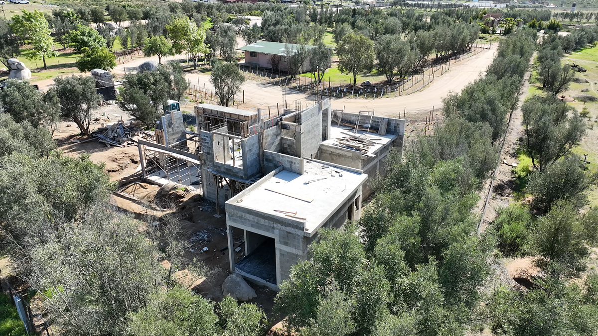 16 de 24: Imagen de marzo de 2026