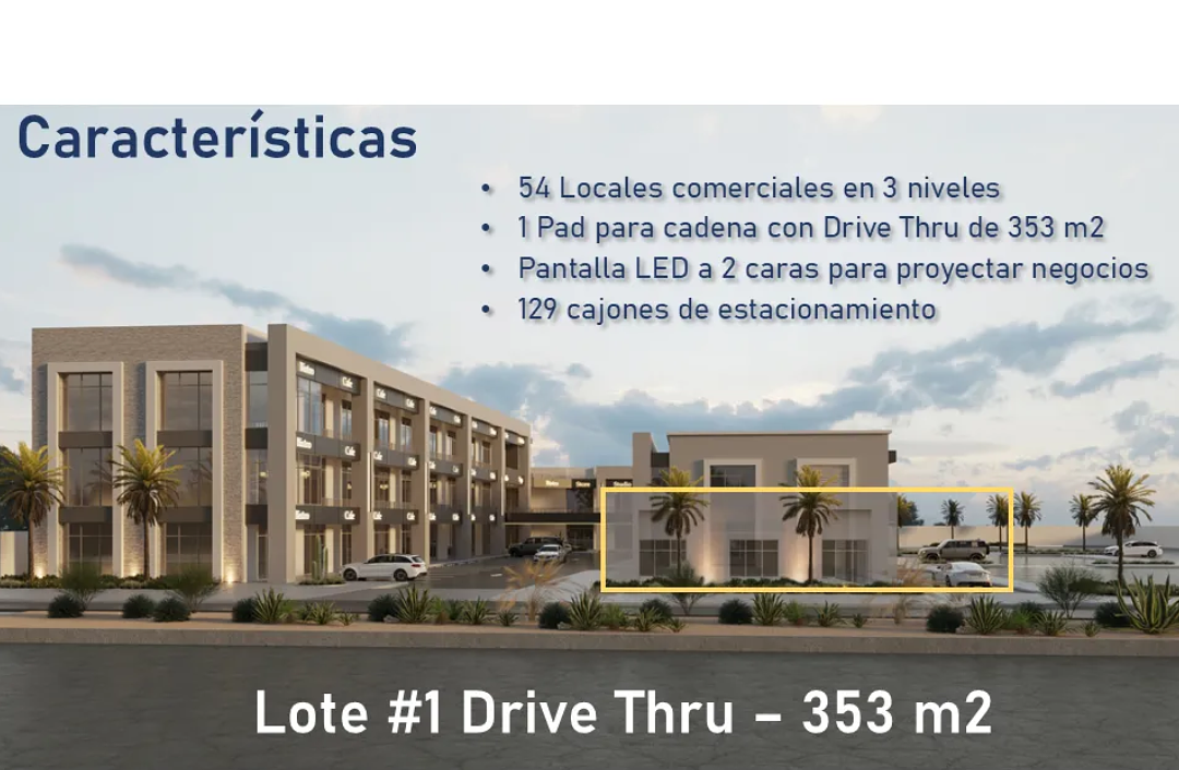 2 de 13