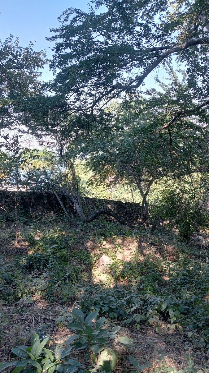 SE VENDE TERRENO EN LAGO DE TEQUESQUITENGO, JOJUTLA. - foto 3