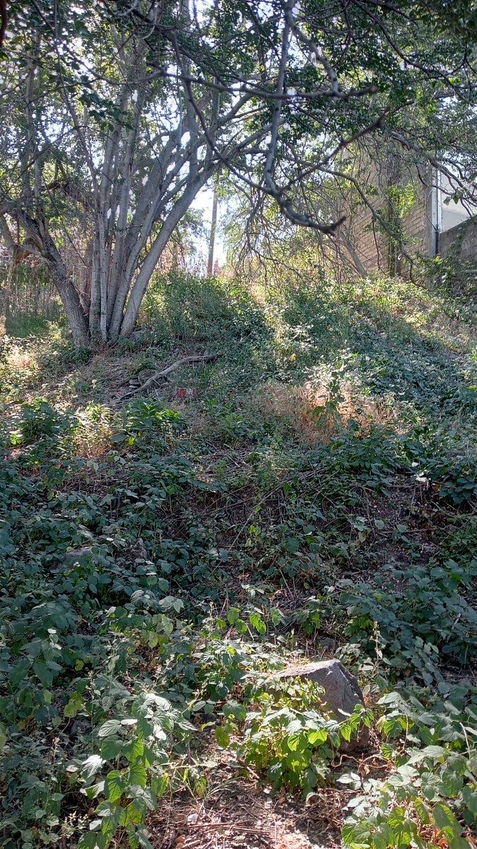 SE VENDE TERRENO EN LAGO DE TEQUESQUITENGO, JOJUTLA. - foto 4