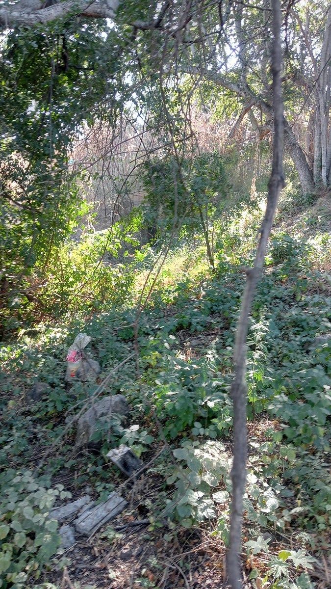 SE VENDE TERRENO EN LAGO DE TEQUESQUITENGO, JOJUTLA. - foto 5