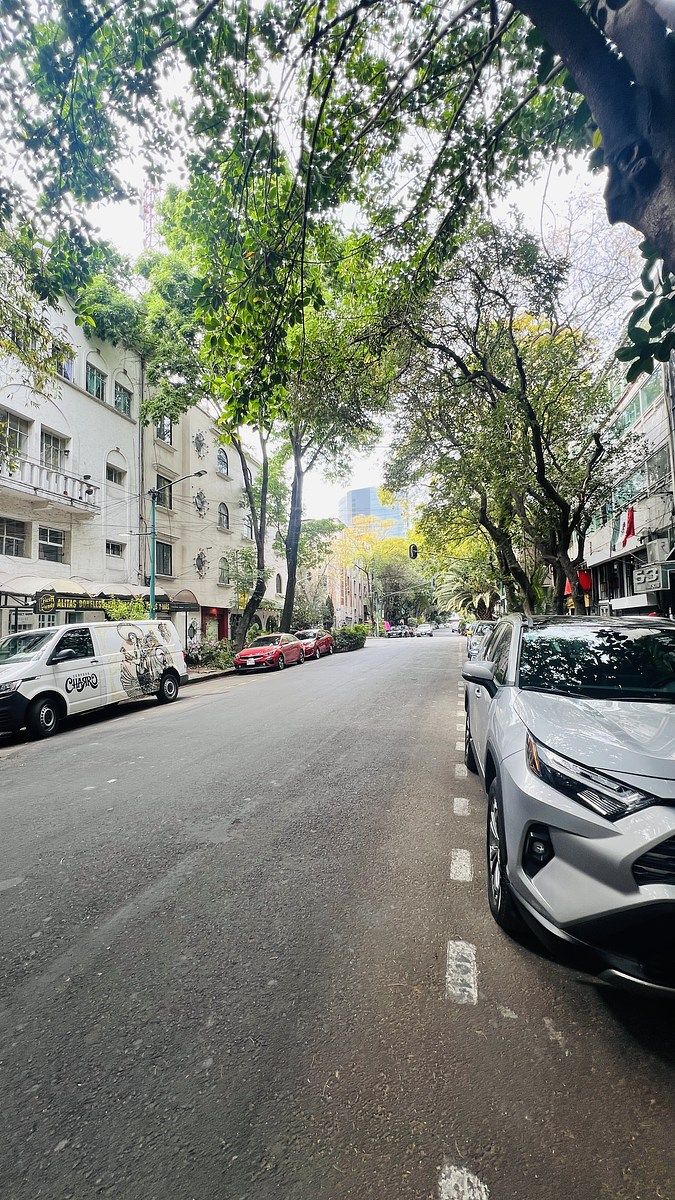 15 de 15: VISTA CALLE