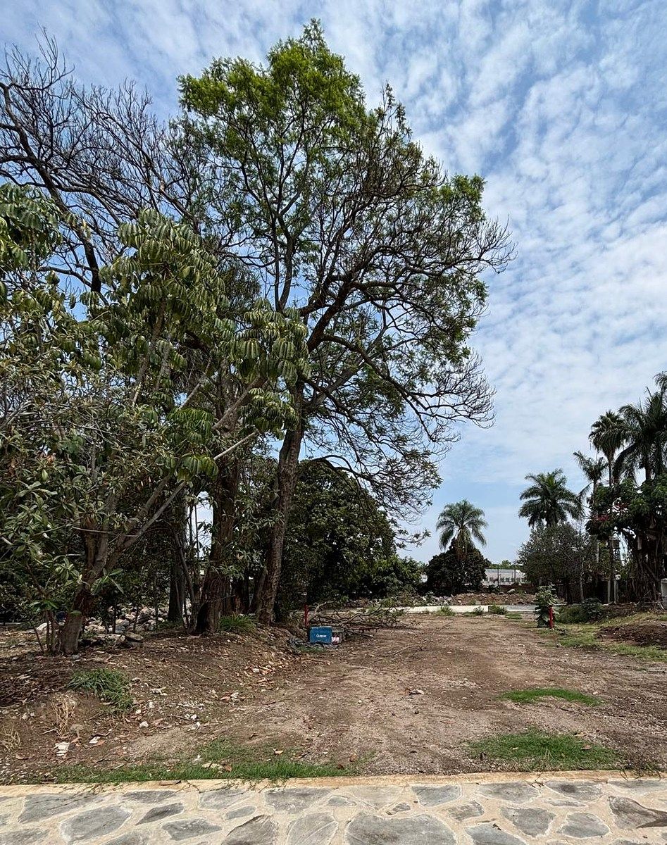 TERRENO-LOTE RESIDENCIAL EN VENTA EN JACARANDAS CUERNAVACA - foto 4