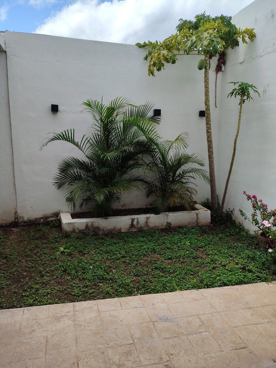 3 de 17: Arriate entrada