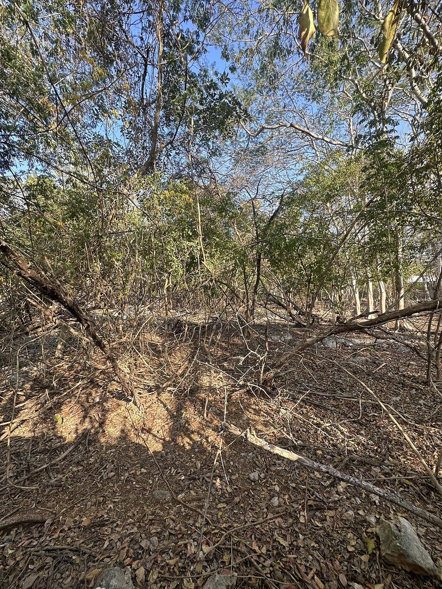 4 of 8: Lote en venta