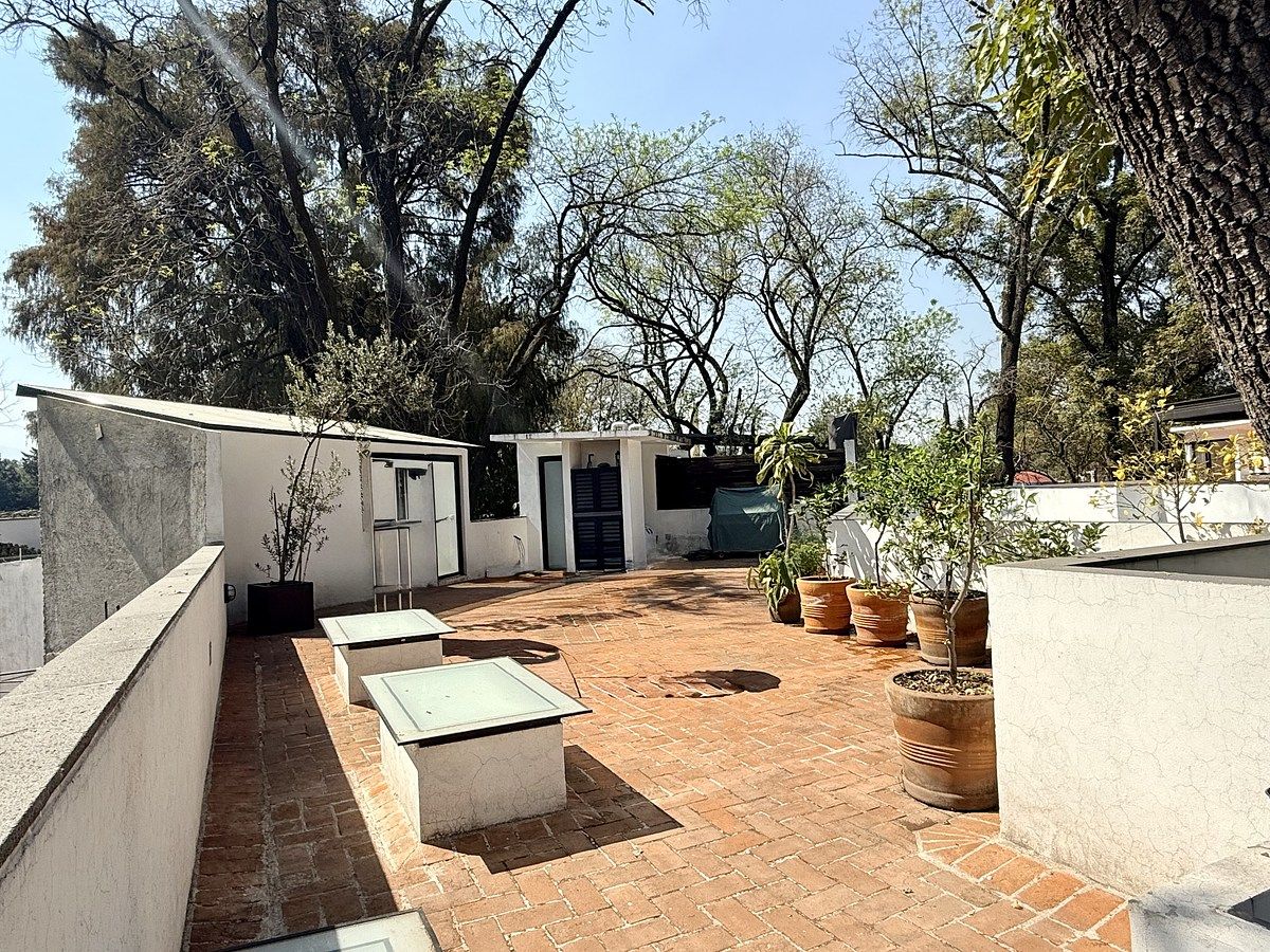 28 de 31: ROOF GARDEN