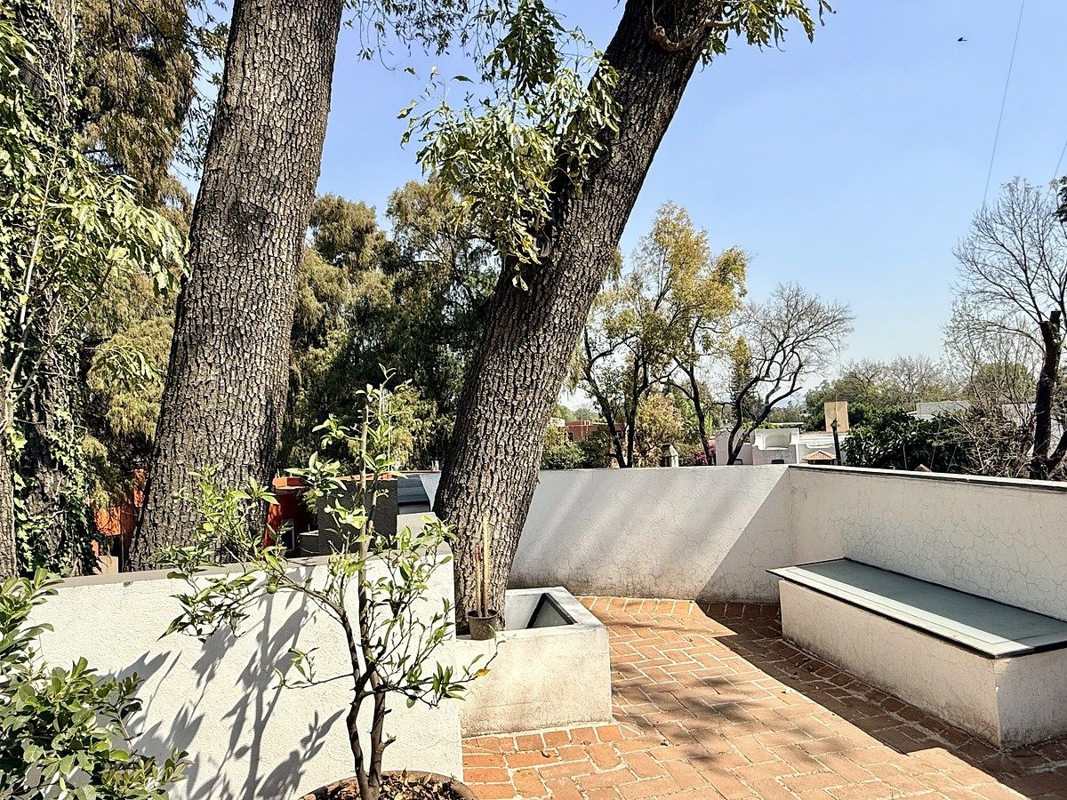 29 de 31: ROOF GARDEN