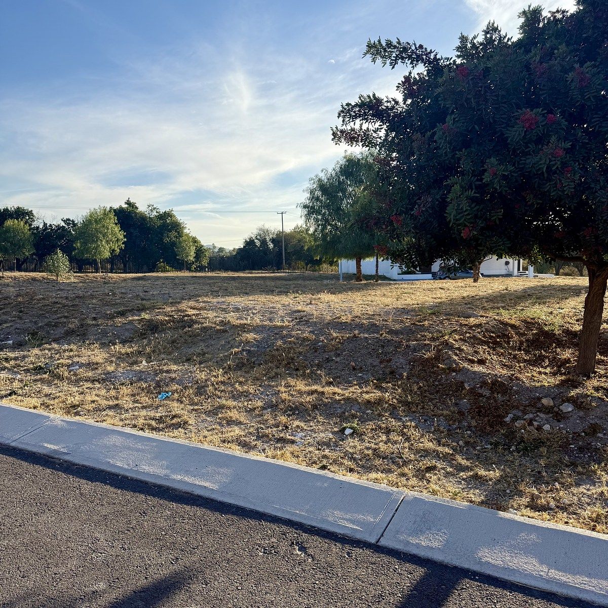 8 de 10: Frente del Terreno