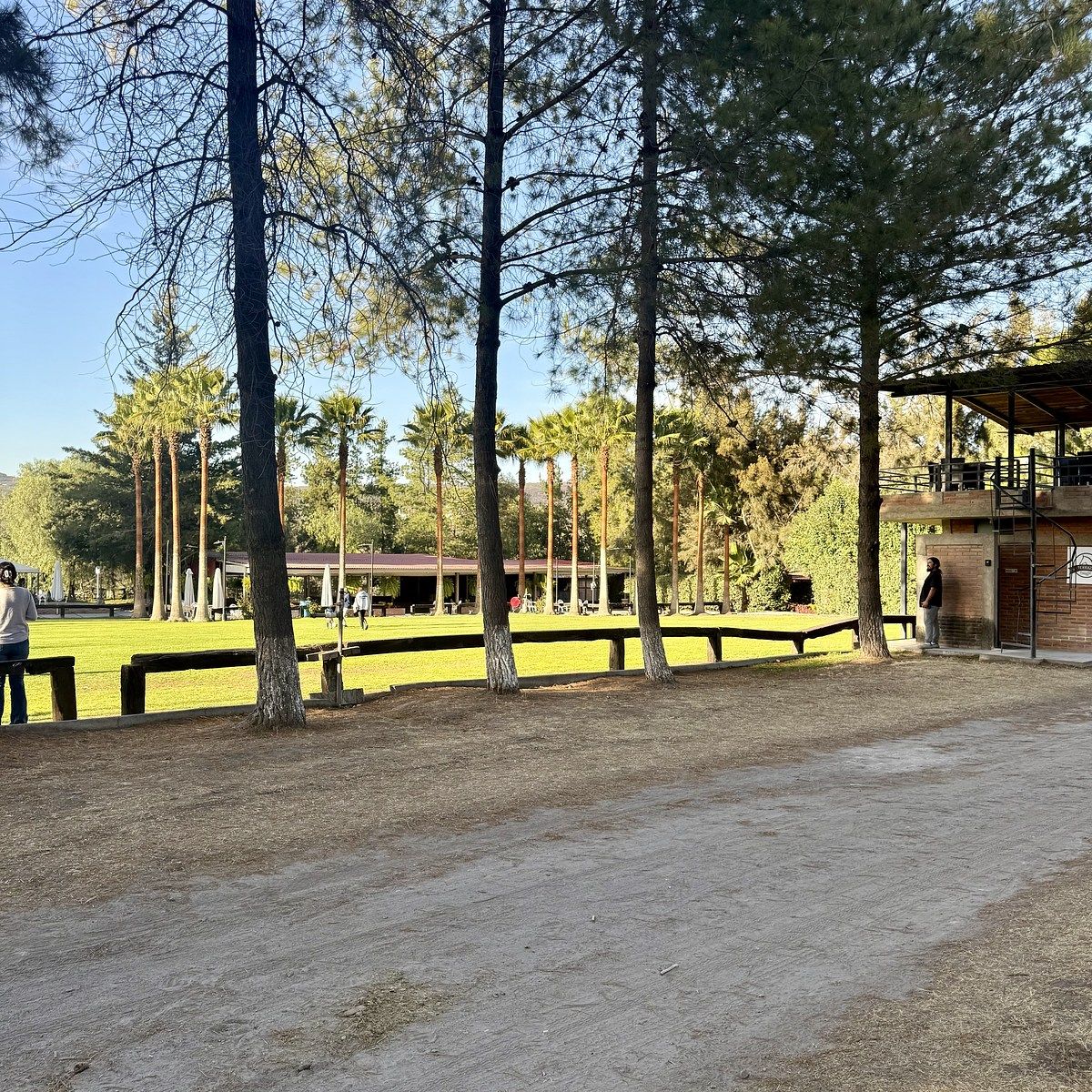 4 de 10: Jardines y terraza