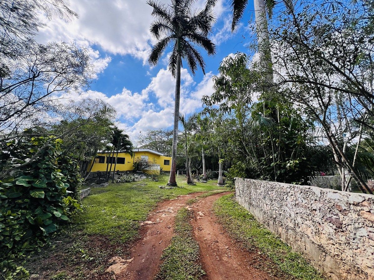 RANCH WITH TWO SMALL HOUSES, 5 CABINS, PALAPA, AND PARTY ROOM IN TAHMEK, YUC. - foto 3