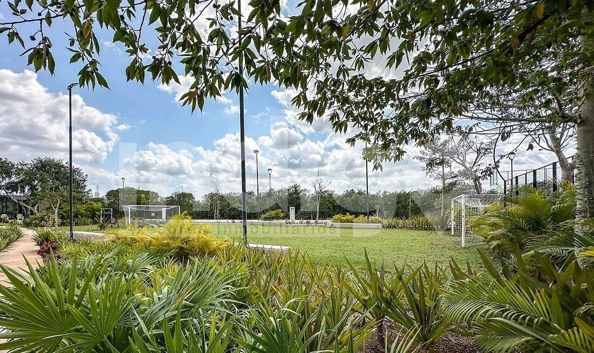 9 de 9: Cancha de Futbol