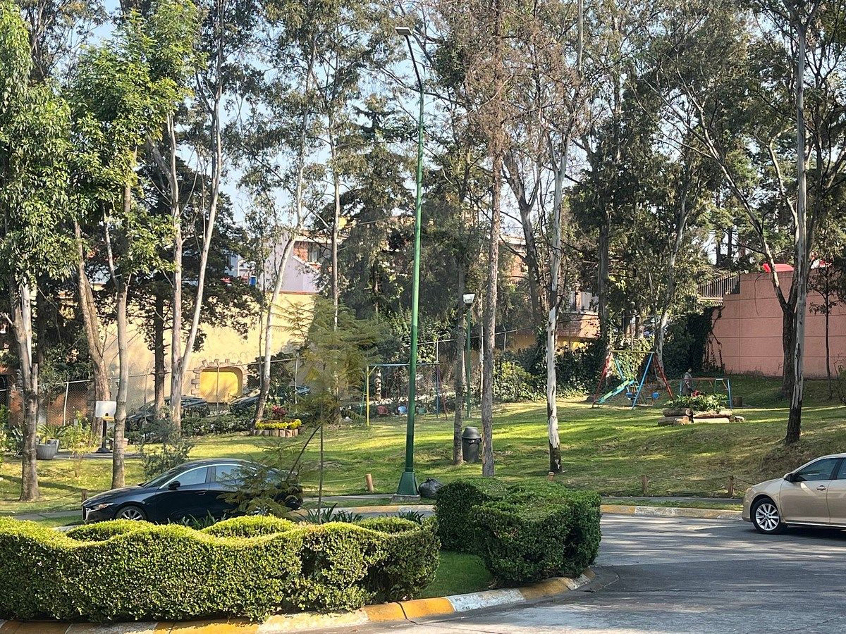 21 de 29