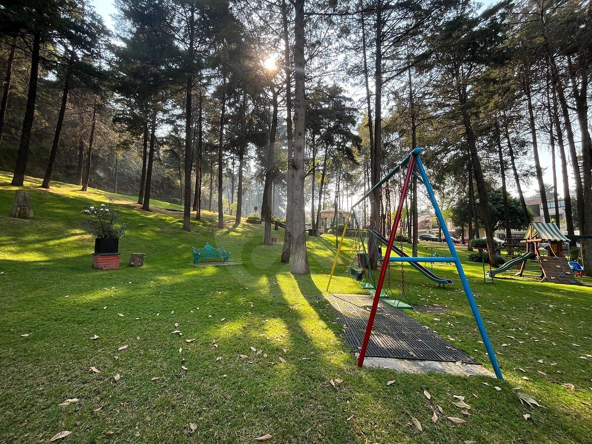 25 de 29