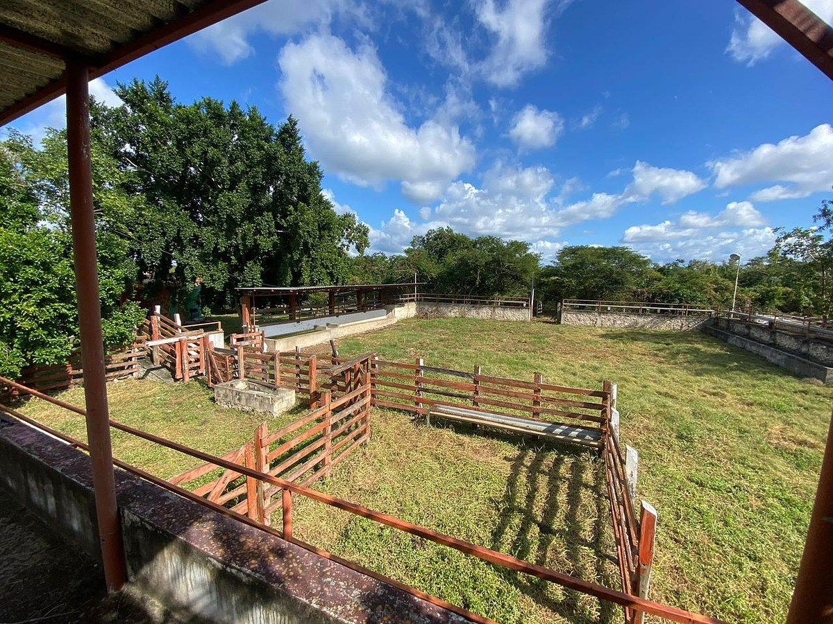 VENTA DE RANCHO UBICADO EN SUMA, YUCATAN, foto 1 de 17