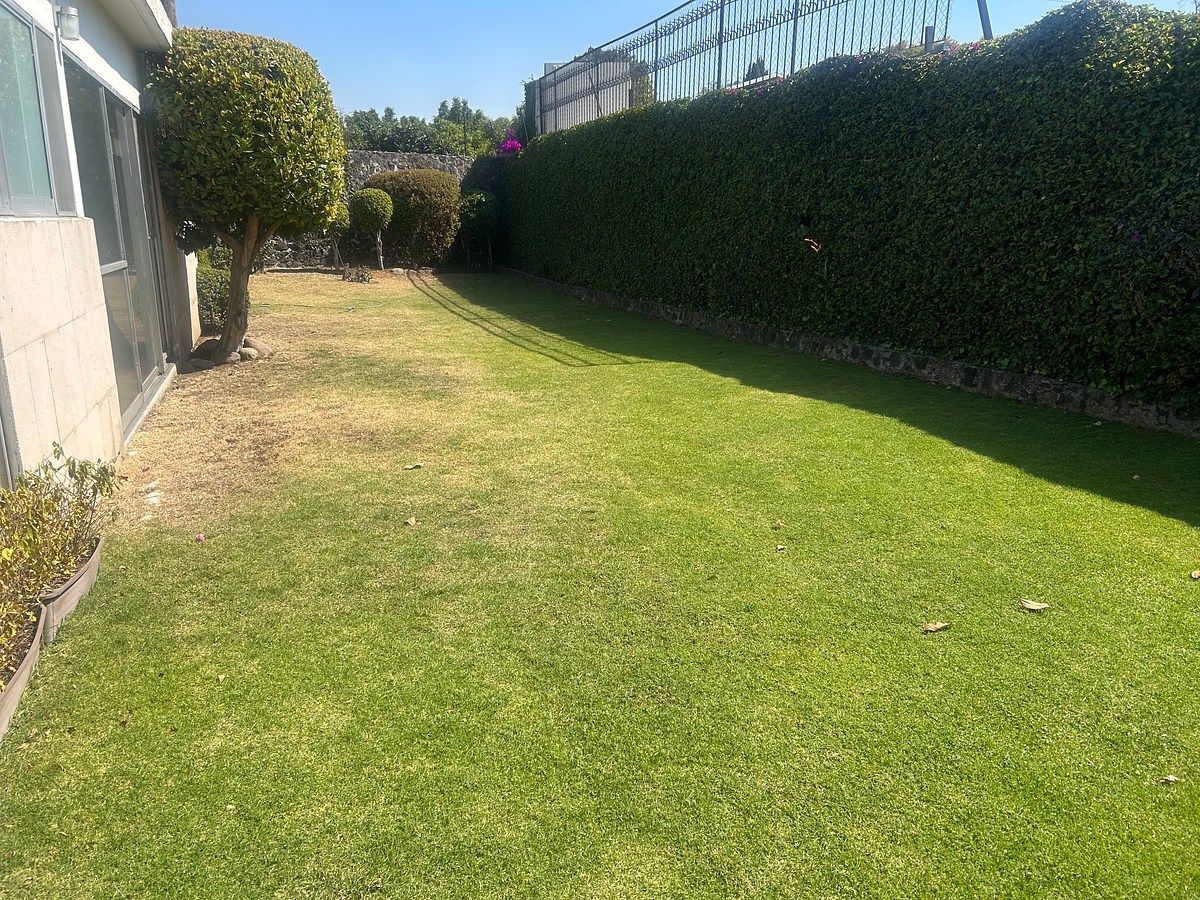 1 of 7: Oficina en Renta en Jardines del Pedregal Rayo Vende ®