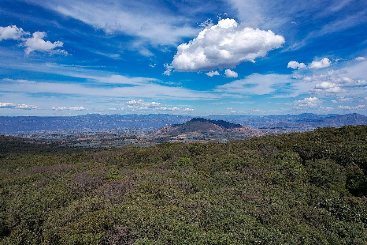 Terreno en venta en Reserva de los Encinos 5 - foto 2