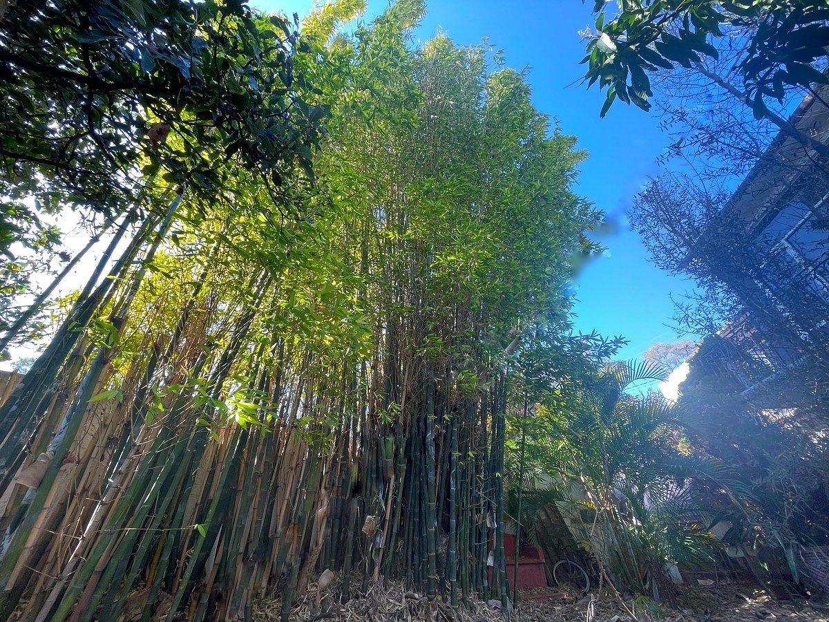 Casa en Venta Huertas la Joya Campestre