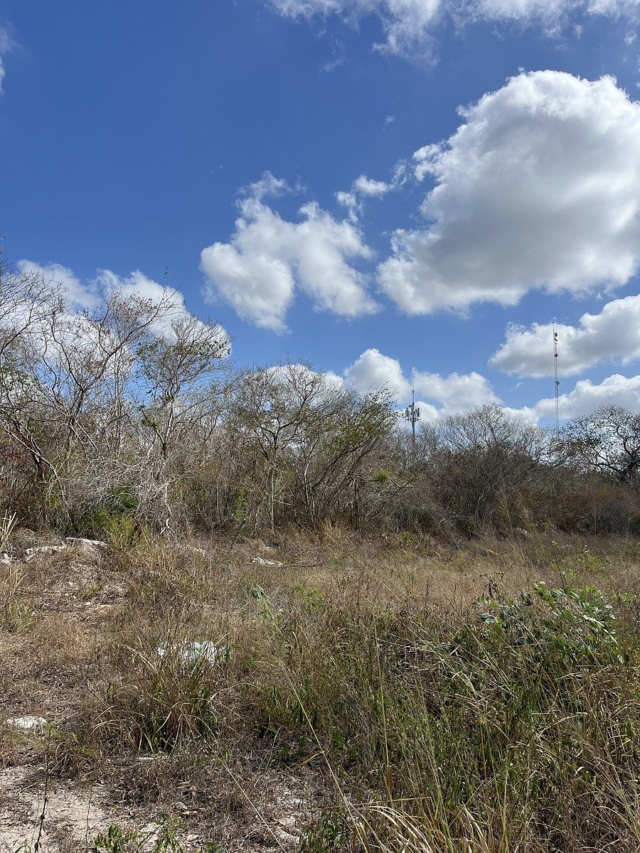 1 of 6: MAGNÍFICO FRENTE SONRE AVENIDA PRINCIPAL.