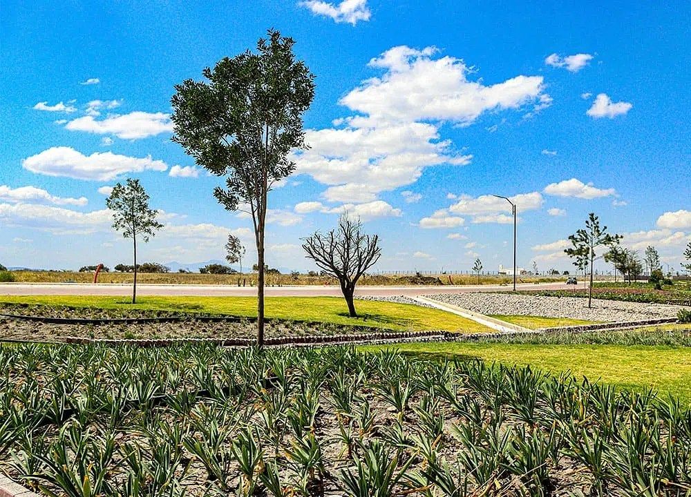 TERRENO EN VENTA CD MADERAS CORREGIDORA